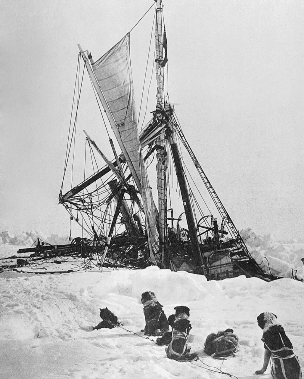 1914年8月8日,英国皇家南极探险队在队长沙克尔顿的带领下,乘坐"坚忍
