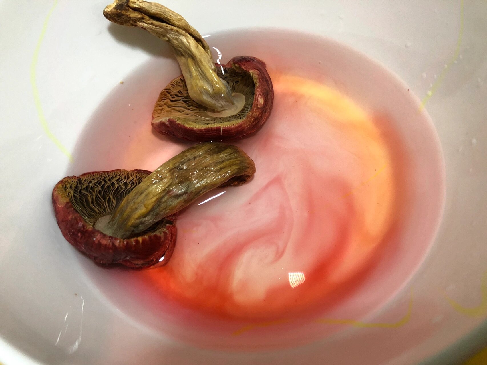 泡红菇,这个色能看出品质吗 干红菇泡水5分钟后呈现如此这般颜色,真是