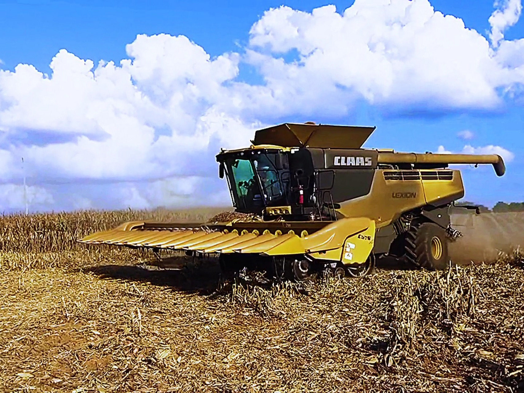 克拉斯十六垄玉米收割机 丰收的喜悦,又是一个丰收年.