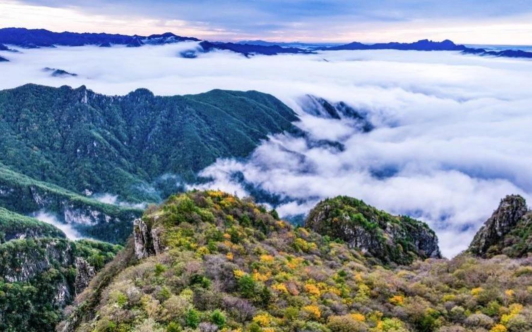 雨后初晴的陕西秦岭牛背梁国家森林公园出现云海奇观,山峰在云海中若