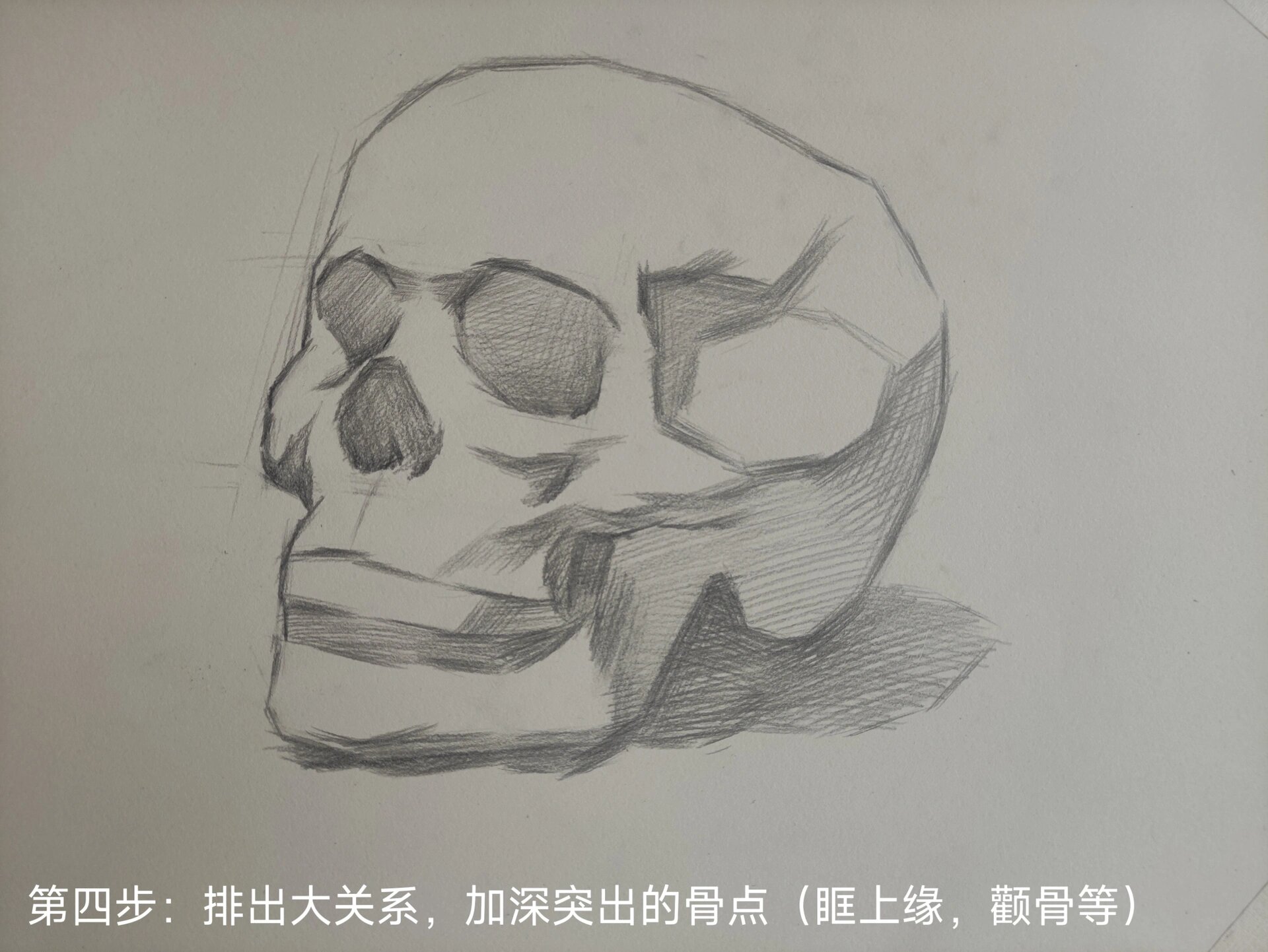 白艺术素描小课堂之人头骨的画法