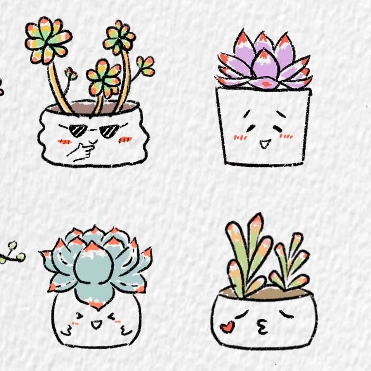 多肉简笔画～ 可可爱爱的多肉简笔画来啦 软件:procreate 笔刷:干油墨
