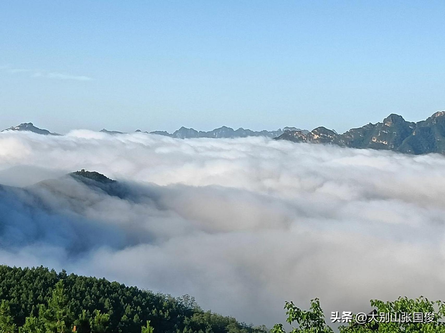 屡遇雨云烟雾散.无碍远山延展.天涯人作伴. 青草绿林风乱.倚窗杯酒满.