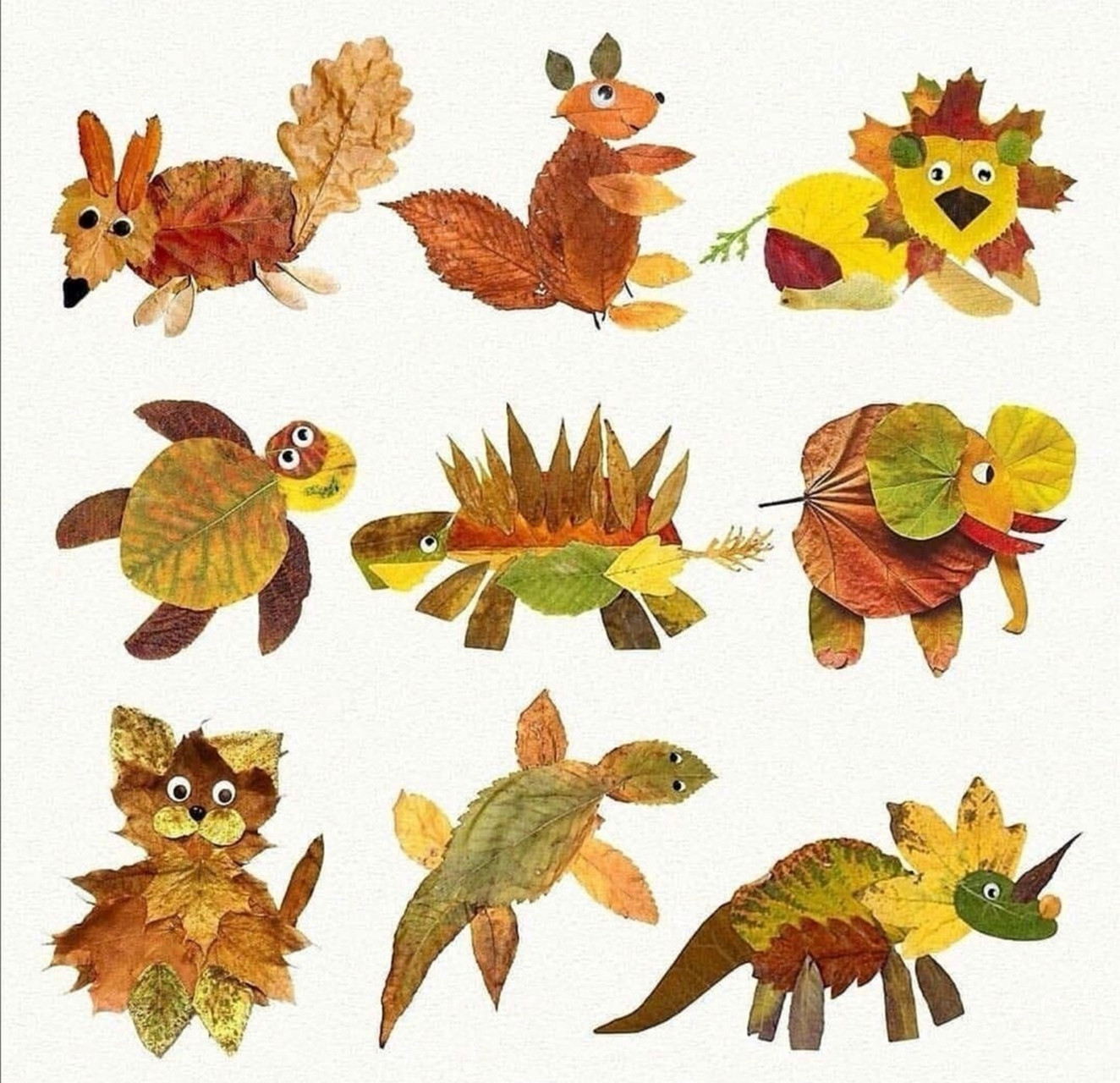 树叶拼简单动物的图片图片