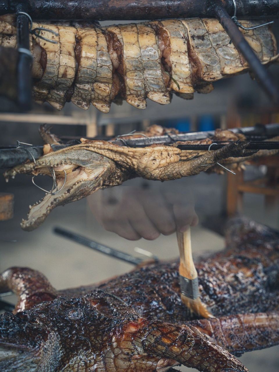 98这次受朋友邀请烤全鳄.