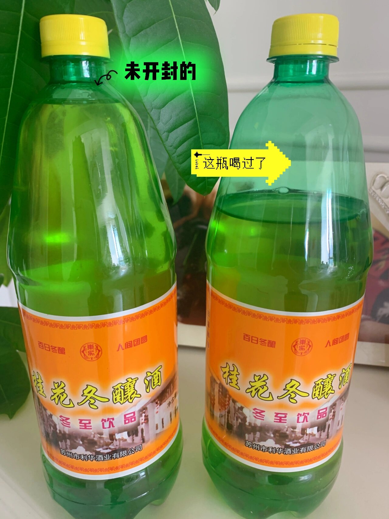 一年只卖一季的苏州特产——桂花冬酿酒 7615时令限定酒,仅在冬至