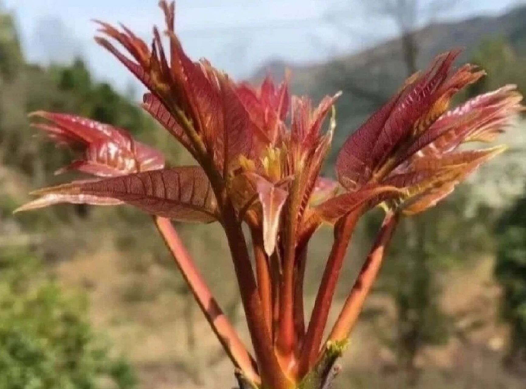 非惟天堂地狱,人生命运的成败得失,无不在当下一念,问题在于,人总是