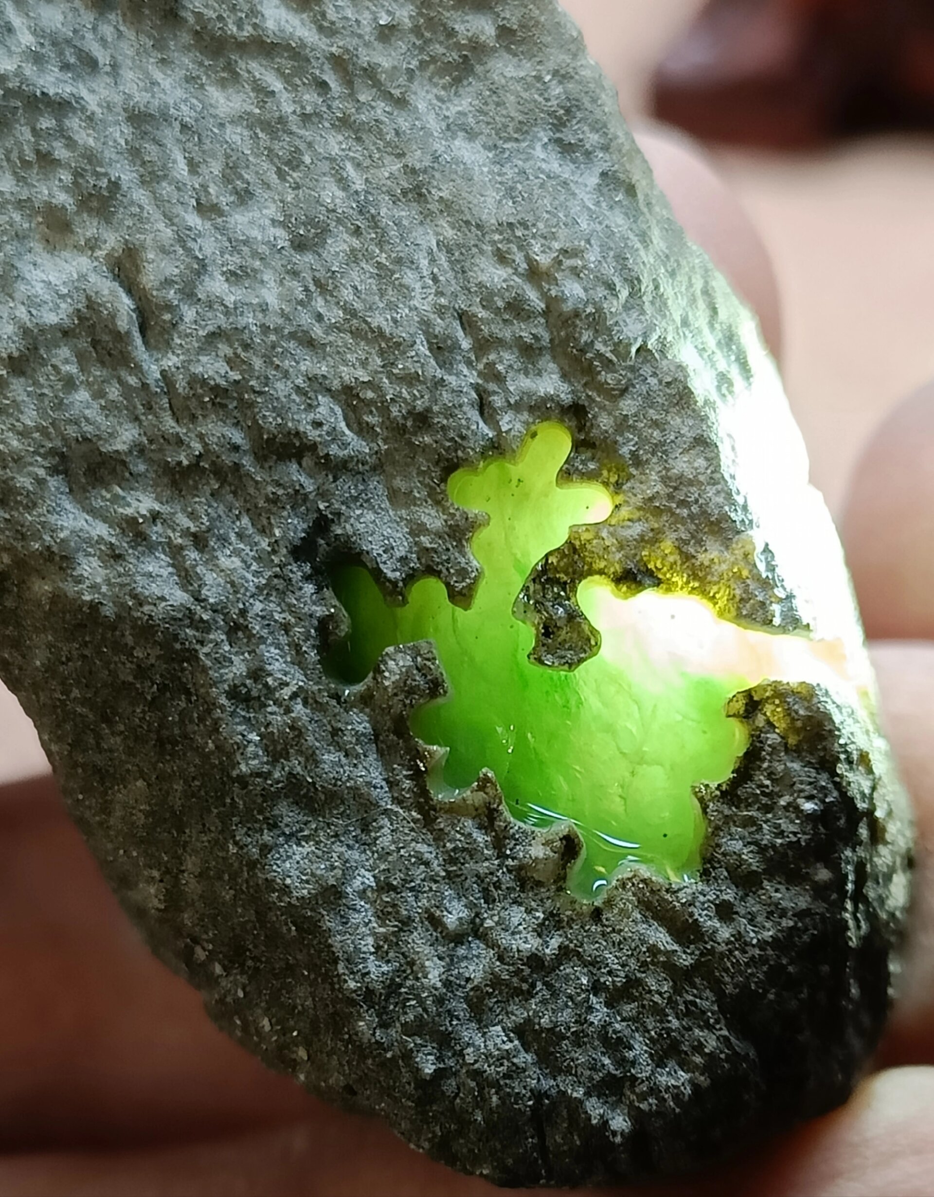 正冰飘花翡翠原石大象皮莫西沙