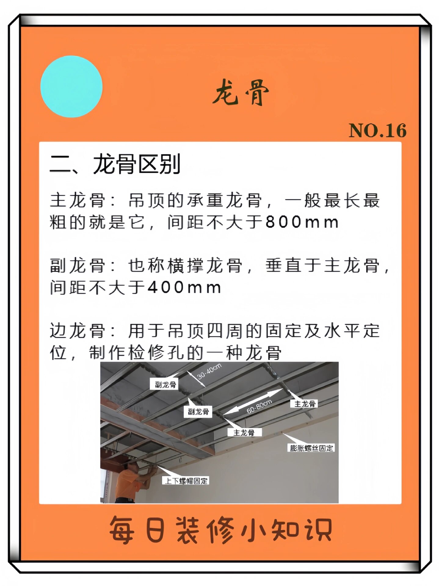 龙骨的分类图片