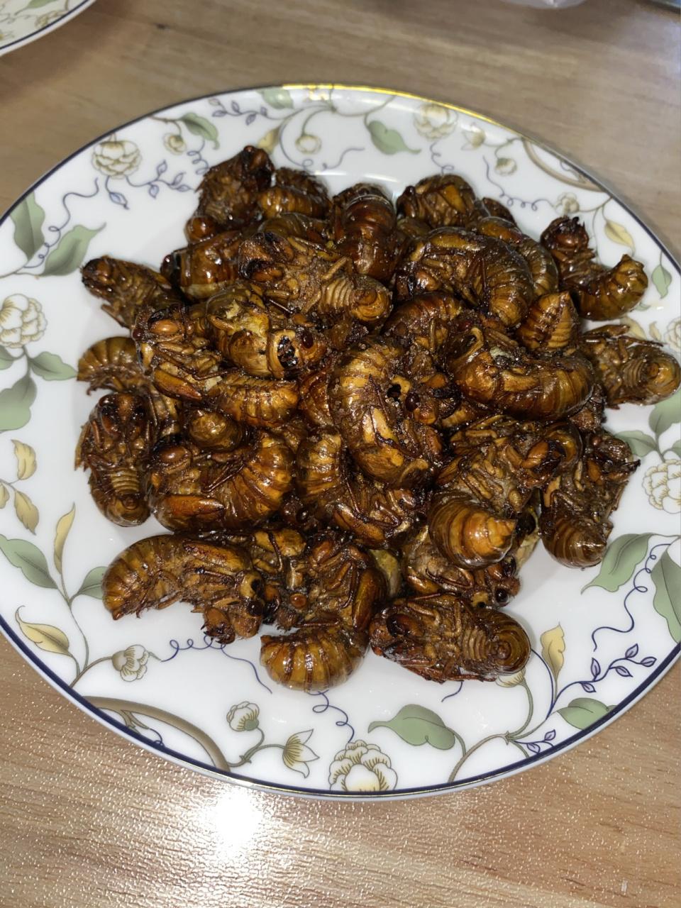 截留龟97 这种小的你们都叫啥