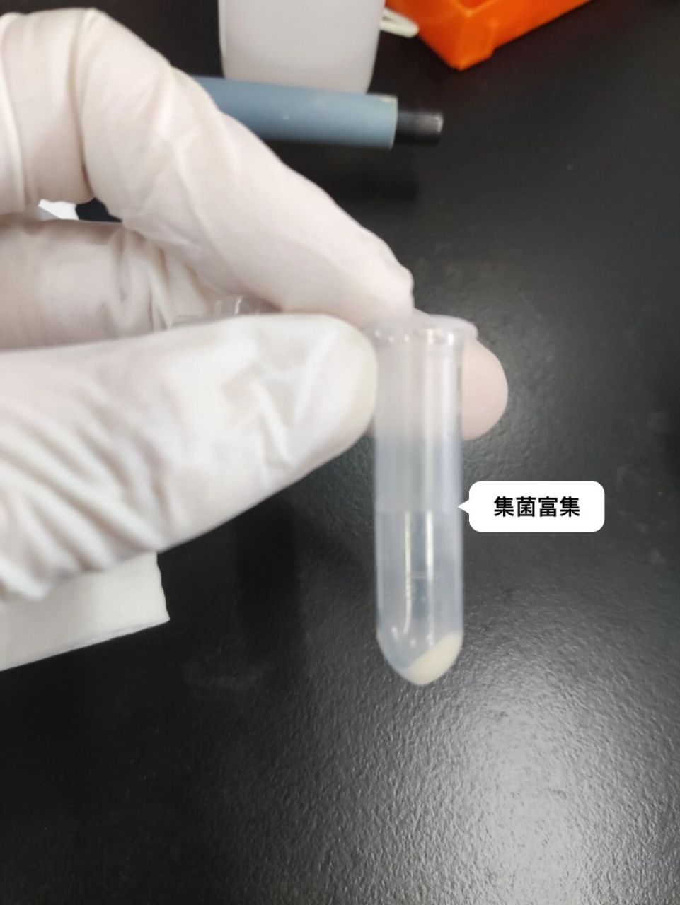 质粒提取是经常要做的实验,从摇起来的大肠杆菌中提取质粒,提高浓度的