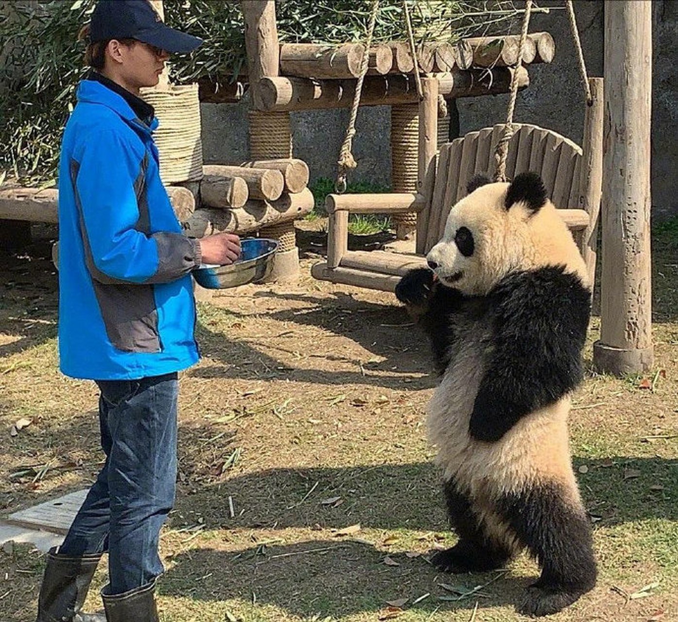 可把我牛逼坏了,让我叉会儿腰!