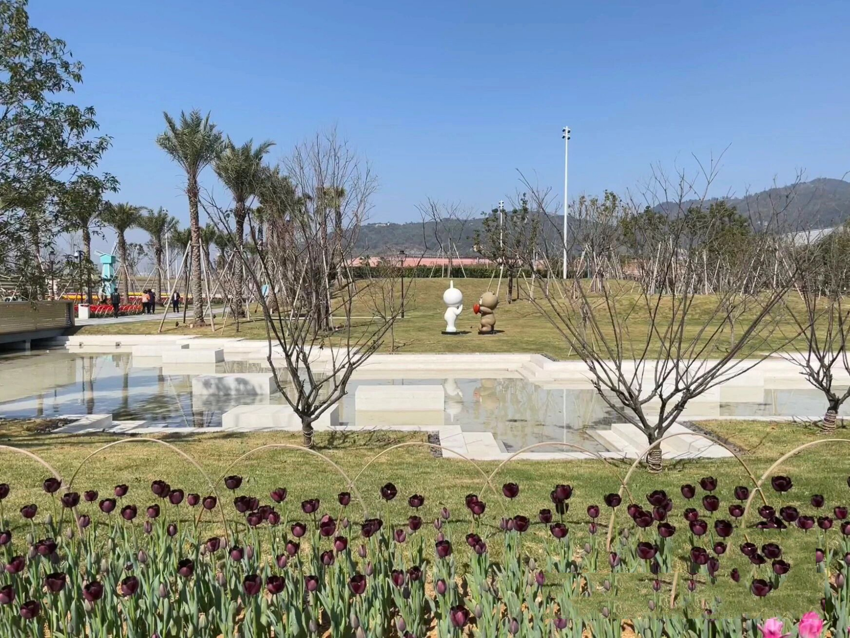 鳌江免费遛娃地|新湖郁金香公园    地址导航鳌江郁金香公园 或者鳌江