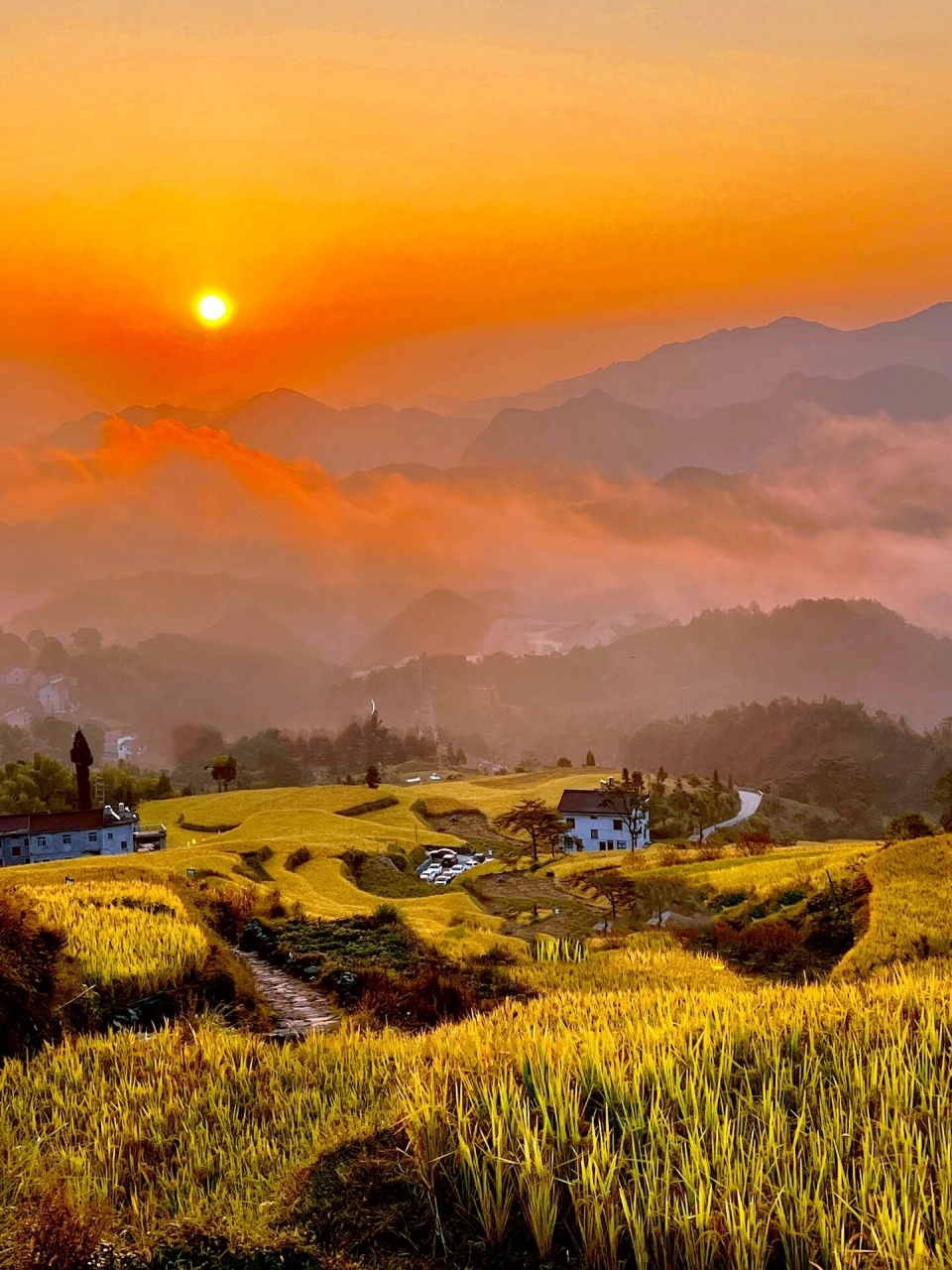 北山村鎏金梯田的日出浪漫92附超全攻略 99泳溪乡鎏金梯田 导航可