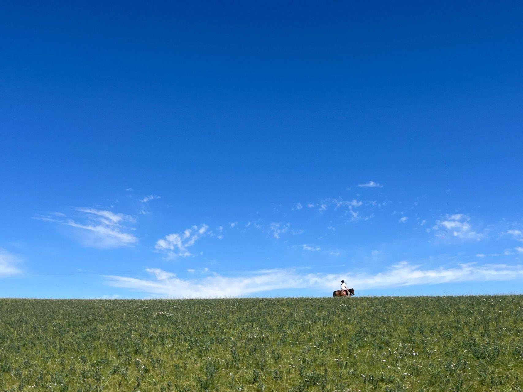 张掖之【康乐草原】 康乐草原是【个人】喜好第二的.