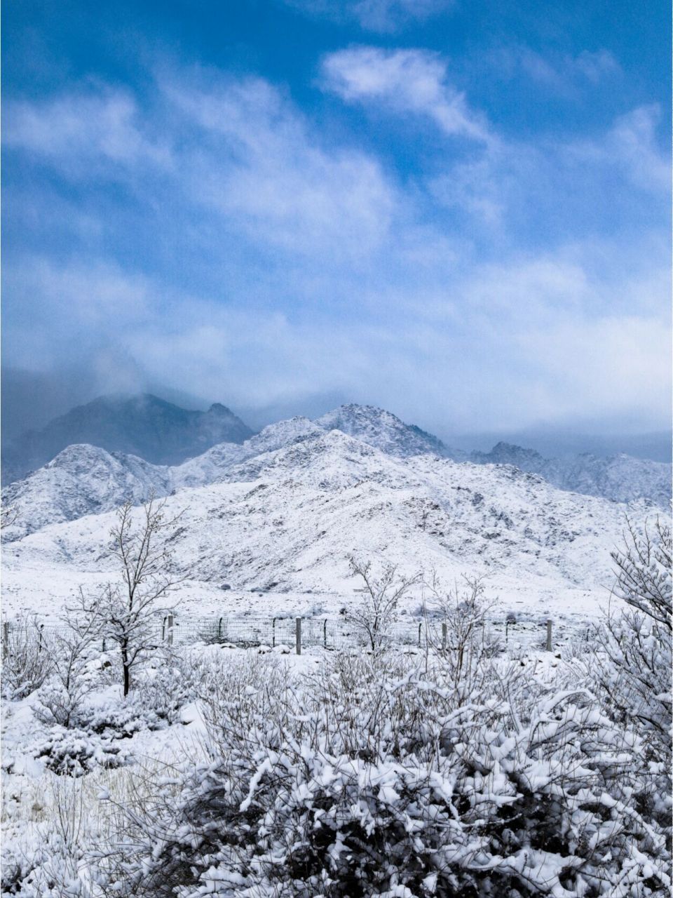 银川贺兰山雪景图片