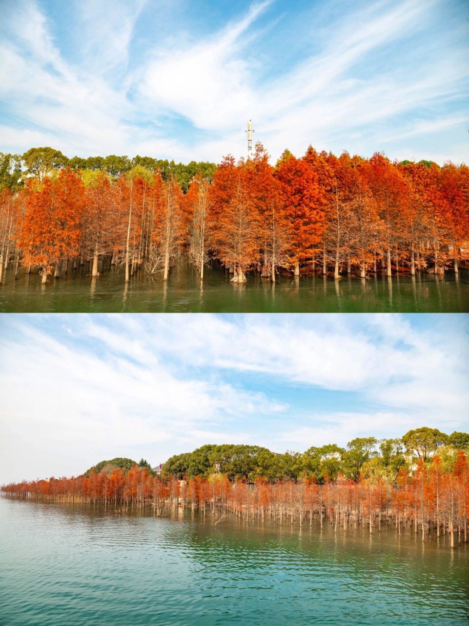 湖北夏威夷,荆门市漳河风景区 位于荆门市漳河风景区,真的是初冬游玩