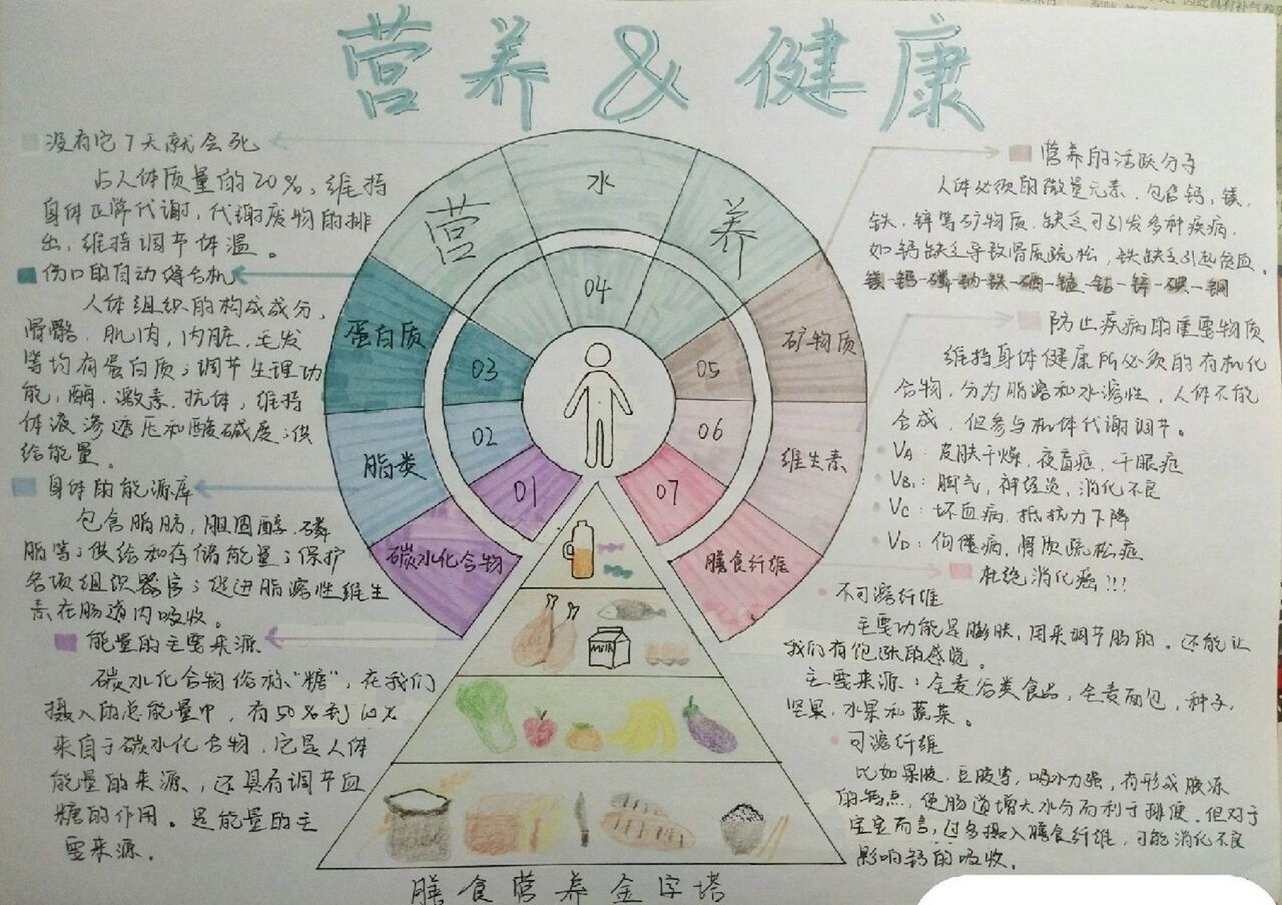 营养与健康手抄报 欢迎大家借鉴与临摹(不要盗图哦) 手抄报