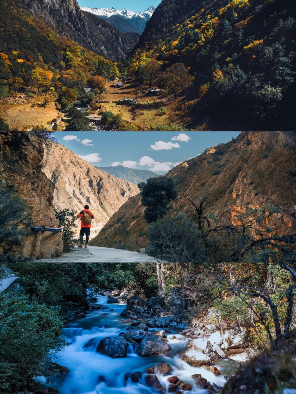 一边是稀石碎块落叶铺就的小路,一边是湍急的峡谷溪流.