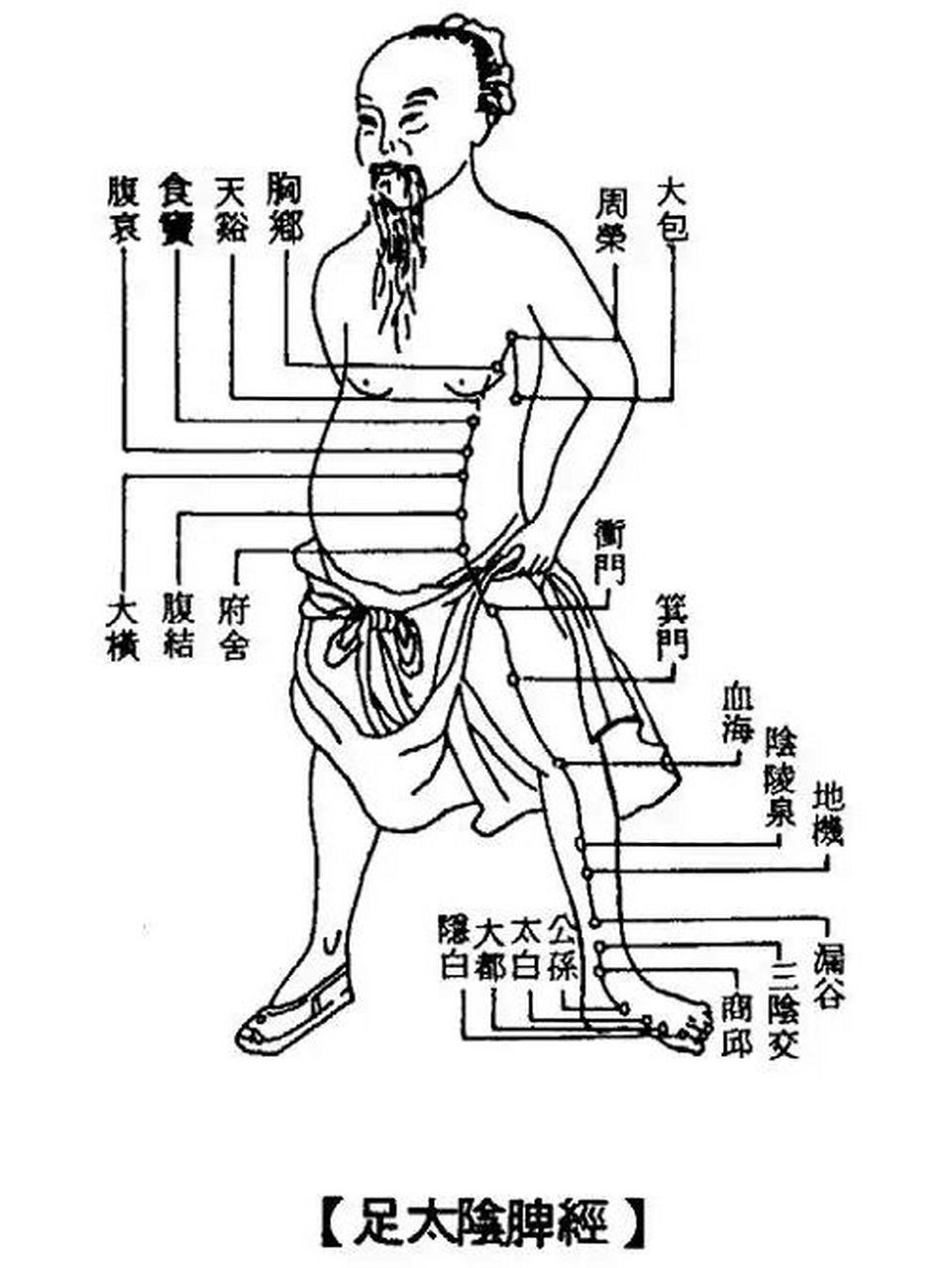 隐白的准确位置图片图片