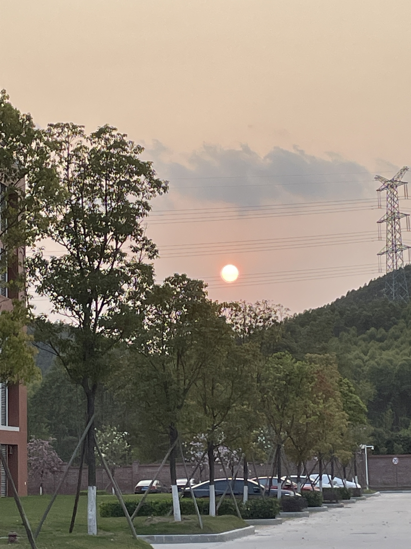 广州华商学院 风景图片