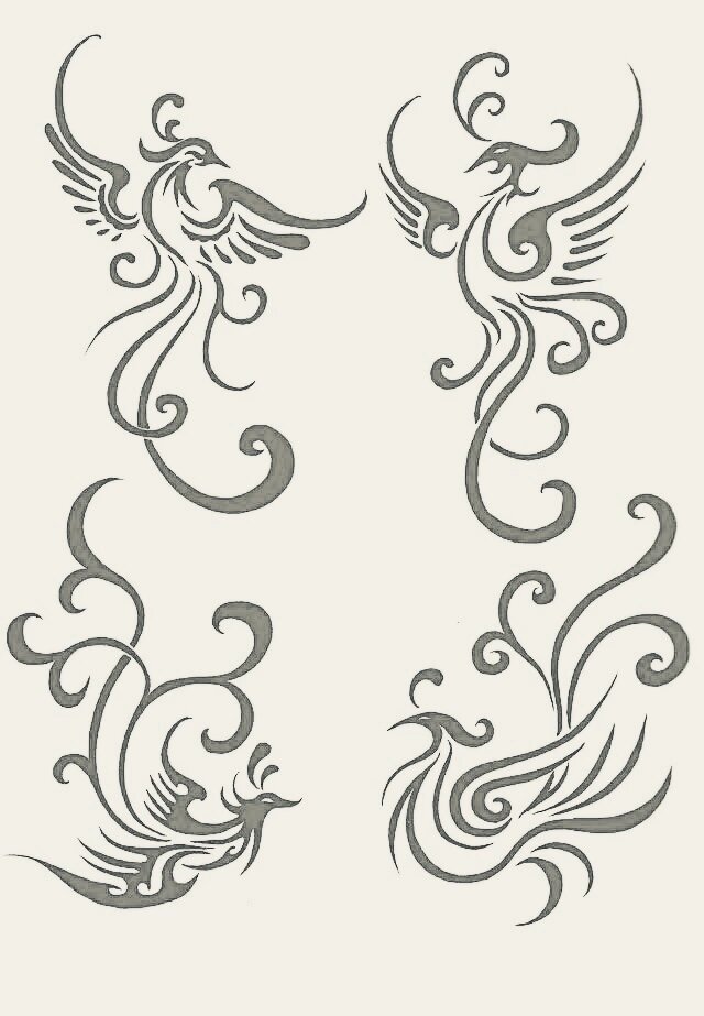 中国传统图腾纹样·凤纹@果果talks说的动态