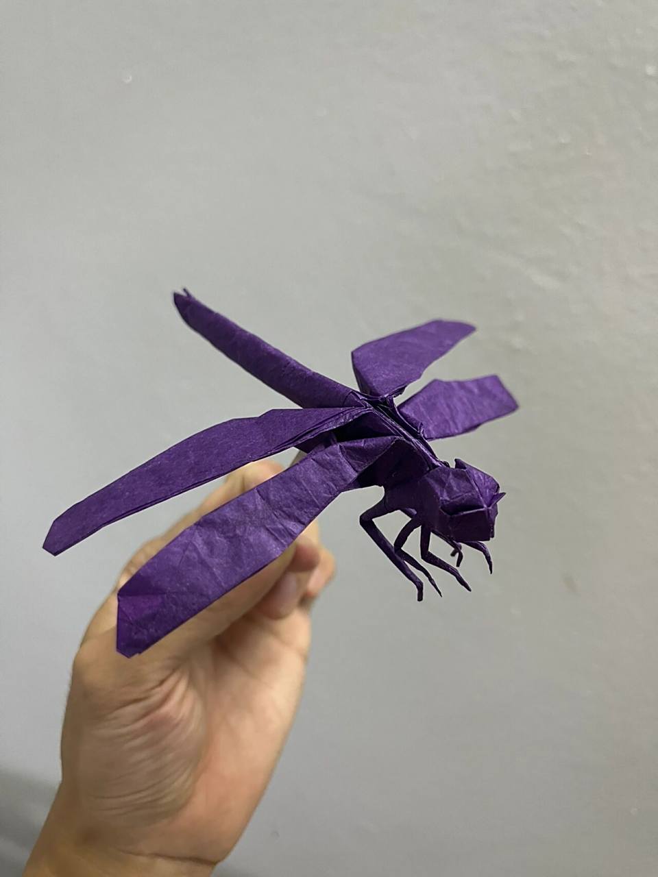 折纸日常之神谷哲史昆虫x5 蜻蜓,蚂蚱01,蝴蝶03,美他利弗锹形甲虫