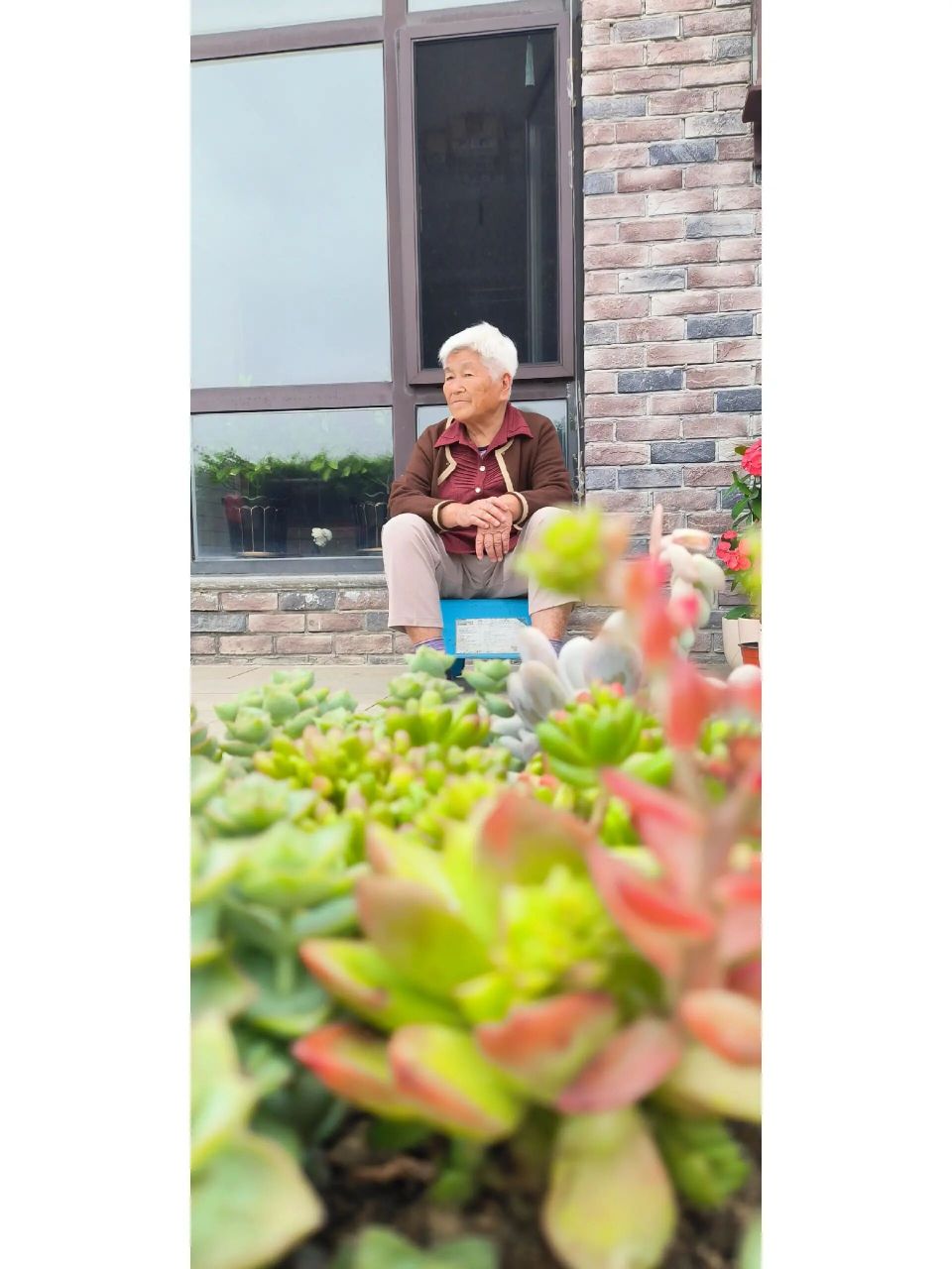 50岁的丁克生活 家庭成员构成 老妈,老婆,老猫,我 目前状况 有房有车