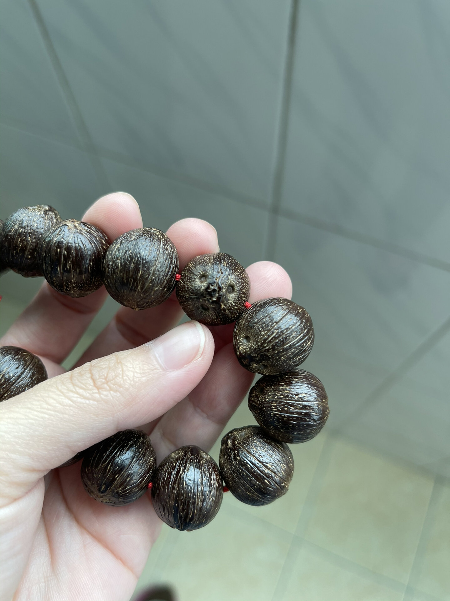 紫金鼠原籽盘玩成果