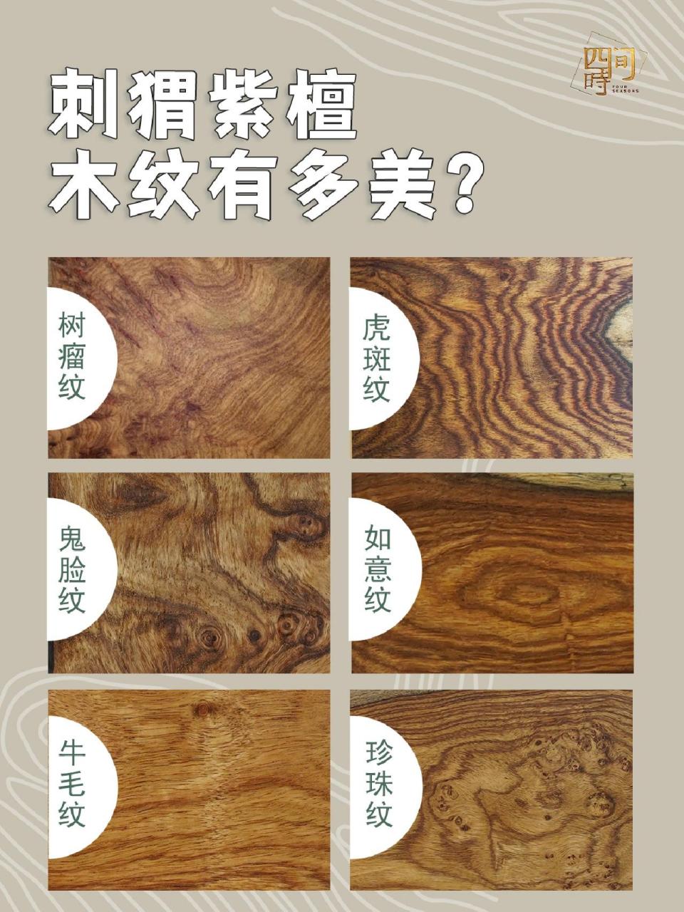 手把手教你辨别红木-刺猬紫檀 78刺猬紫檀因树表形成密集的鼓钉刺