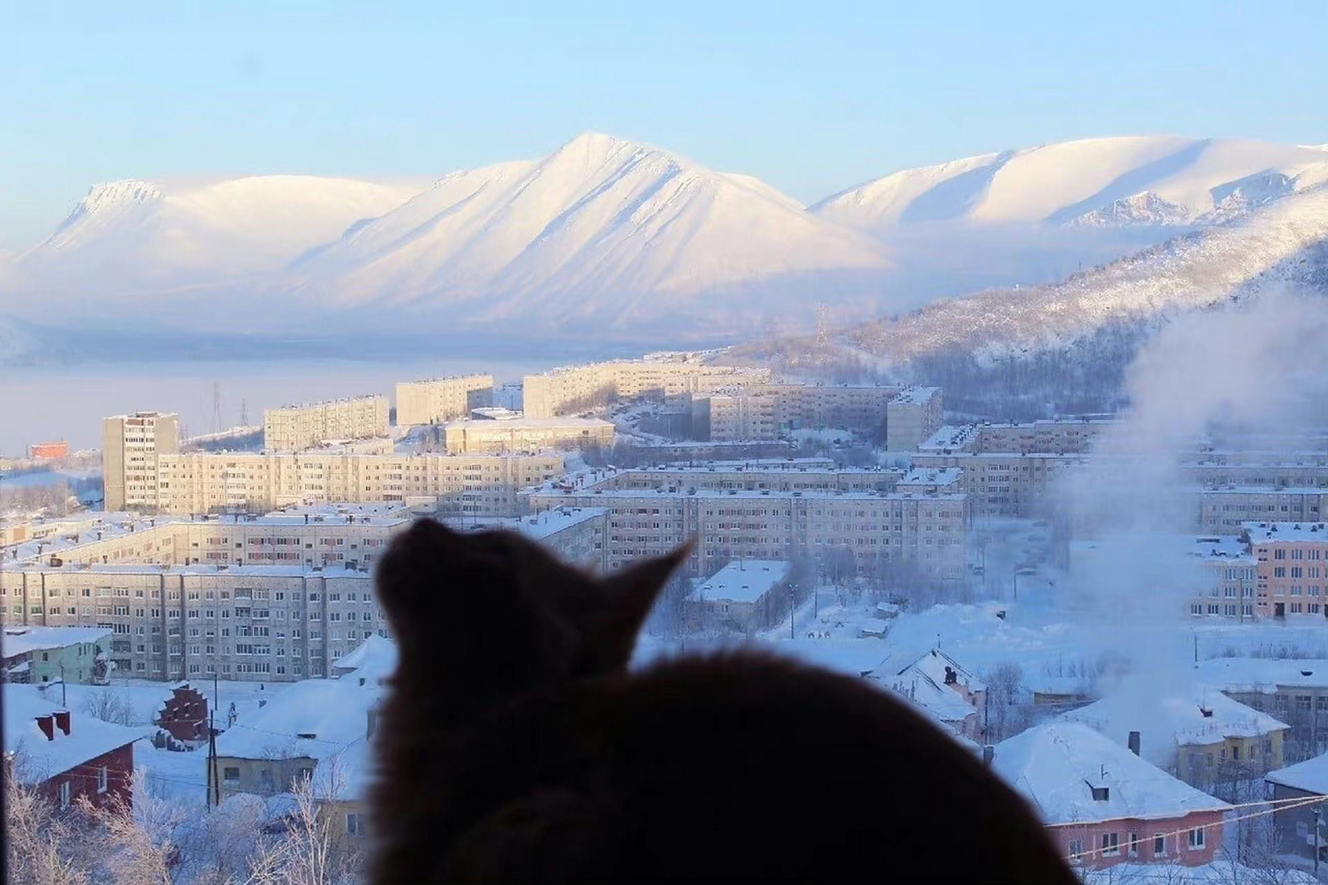 intj在现实中被误解是常态,但不喜欢解释 intj在有所成就前并不是一种