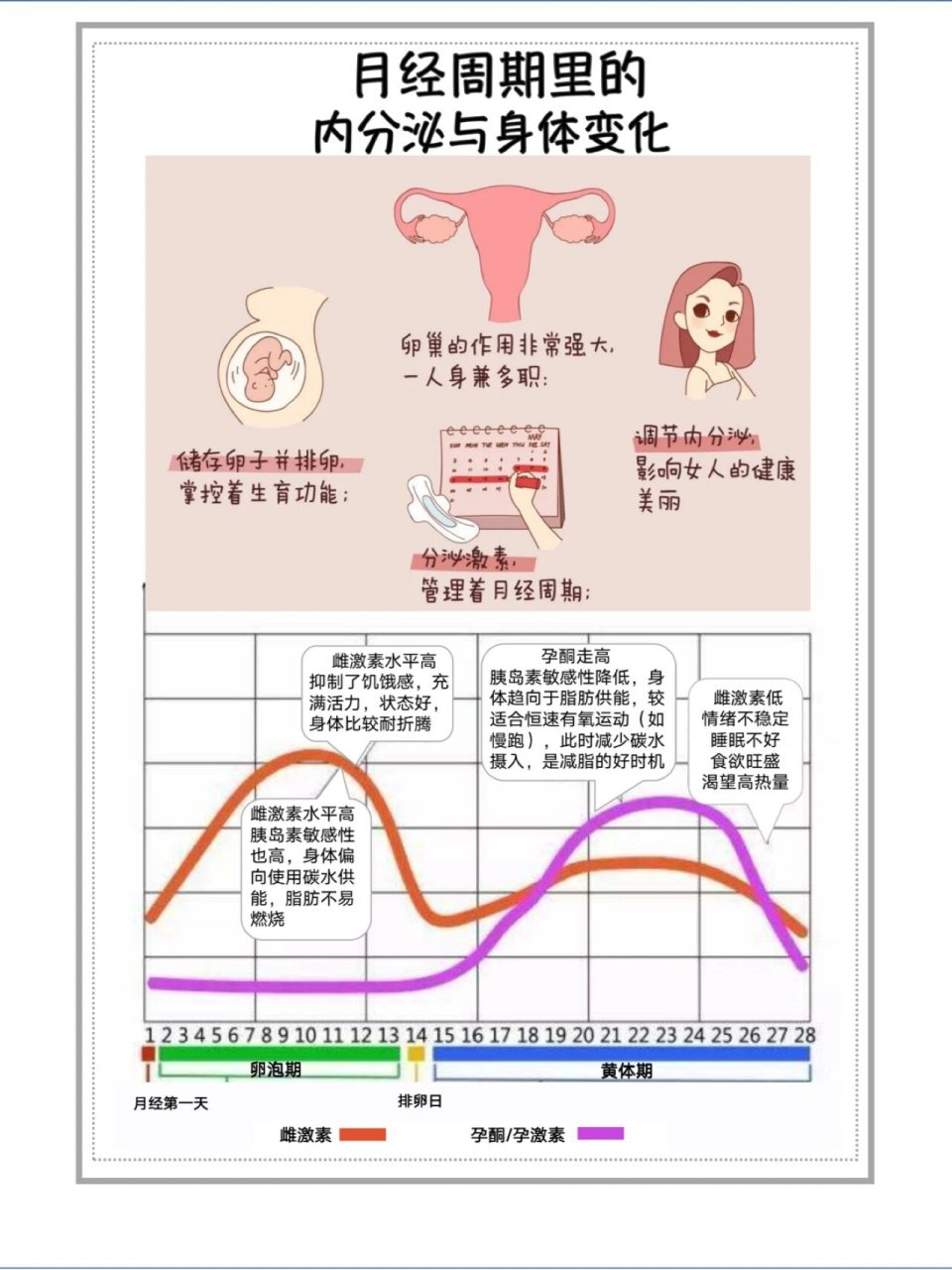 怀孕后激素水平变化图图片