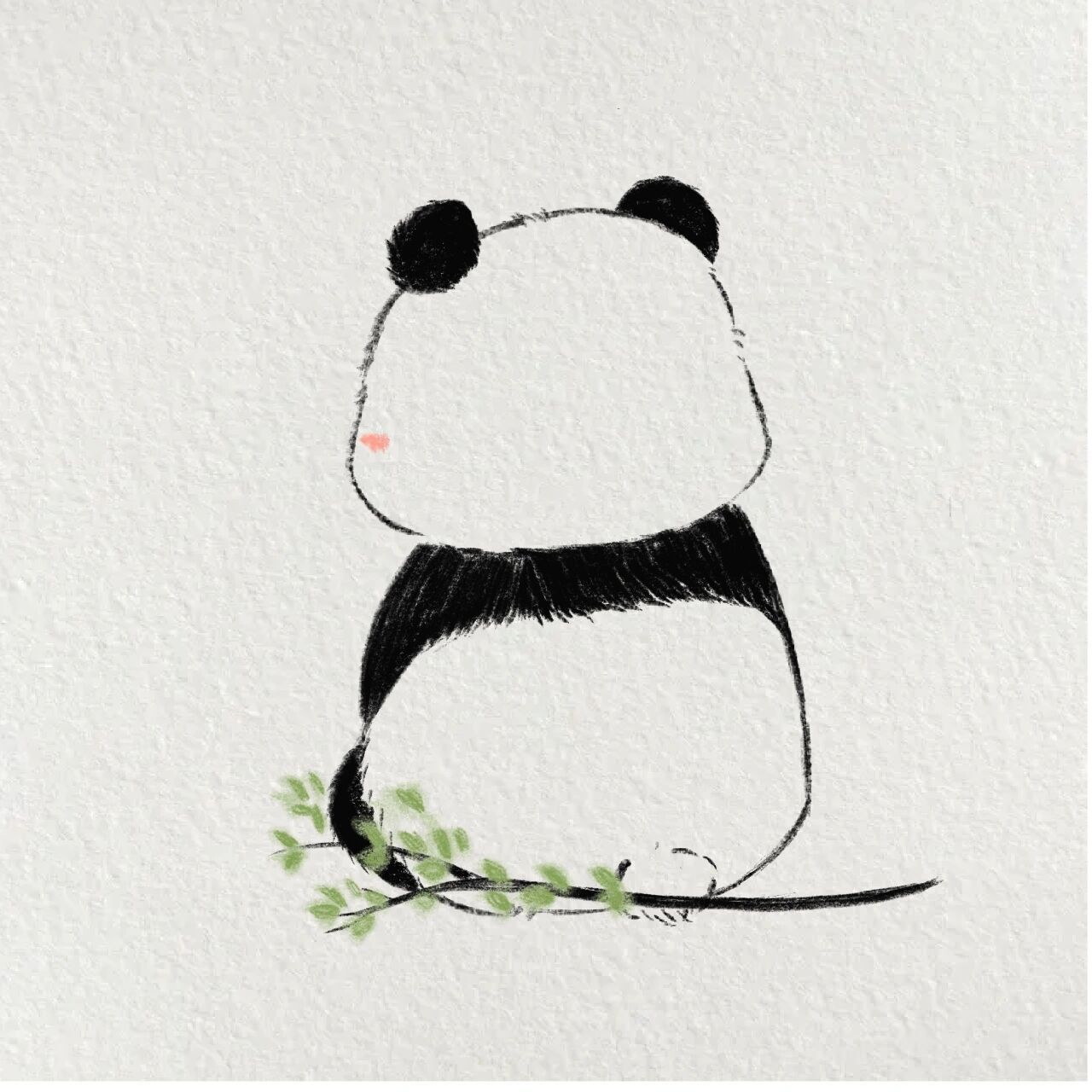 一看就会的超可爱熊猫手绘     思考喵生的滚滚 工具:procreate 笔刷