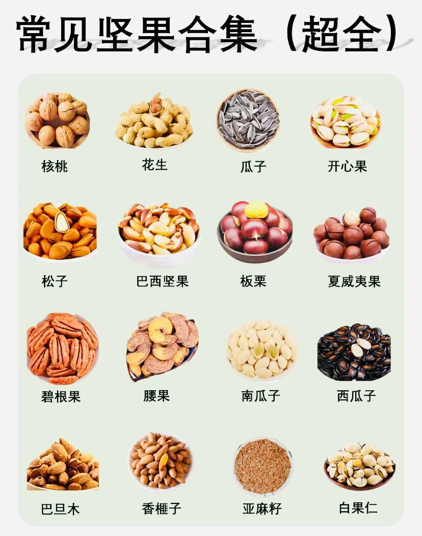 16种坚果的名字