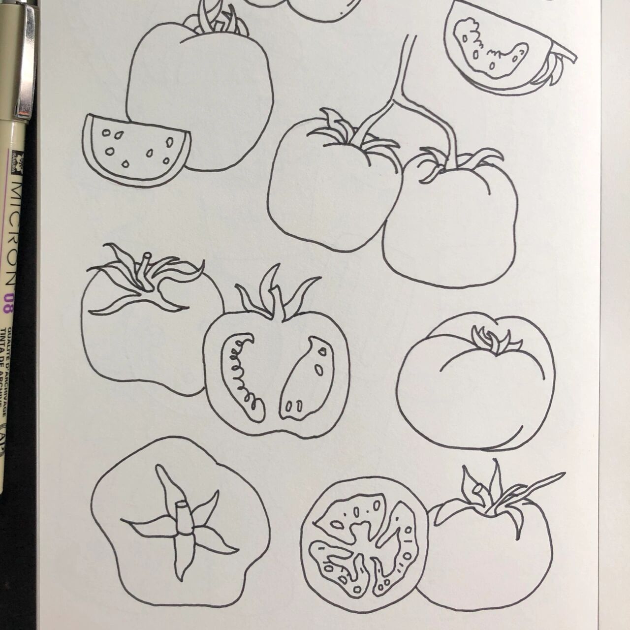 零基础手绘|简笔画|西红柿97 临摹 780902222800¨02
