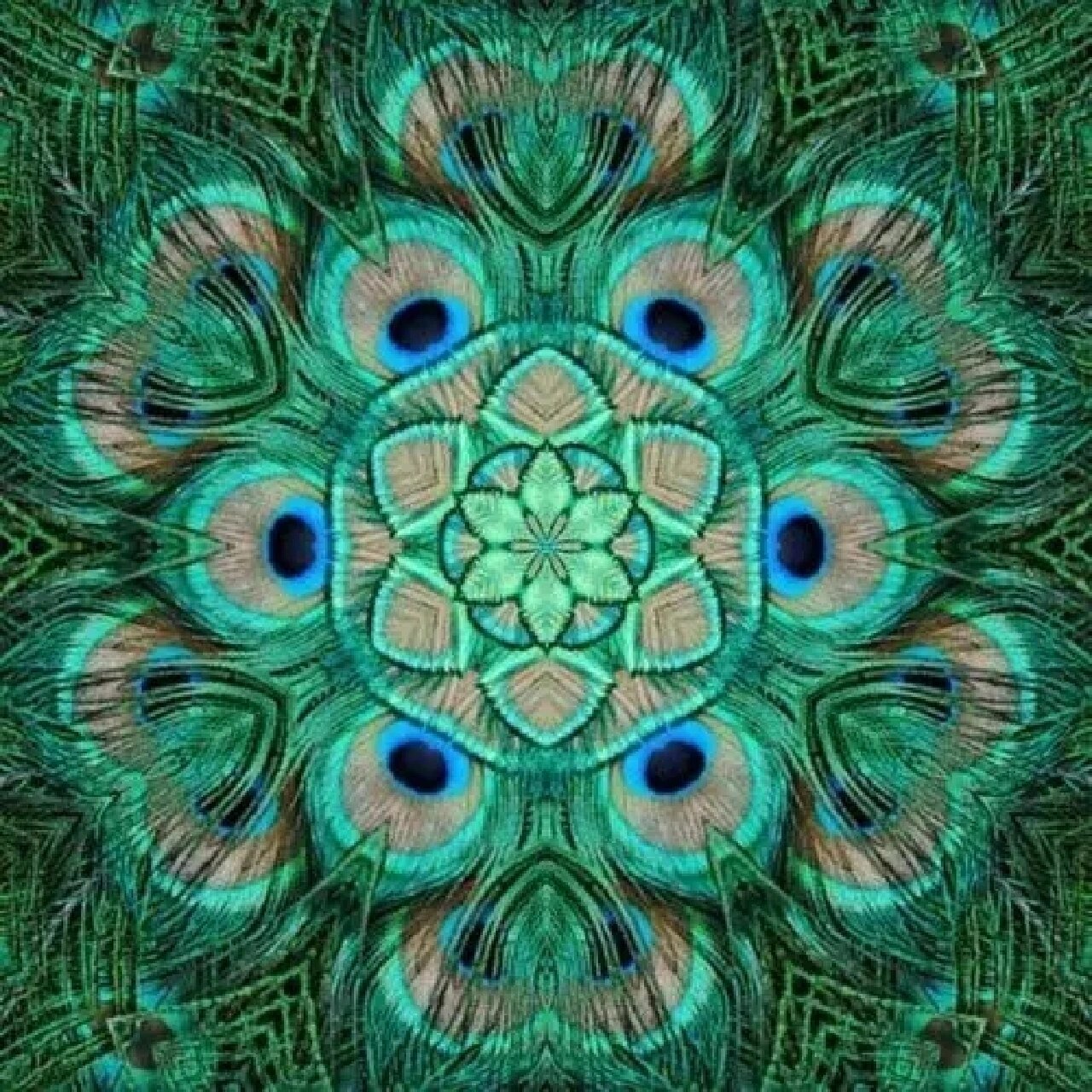 36张曼陀罗能量图,具足圆满无缺的神秘力 曼 陀 罗 为藏传佛教术语,即