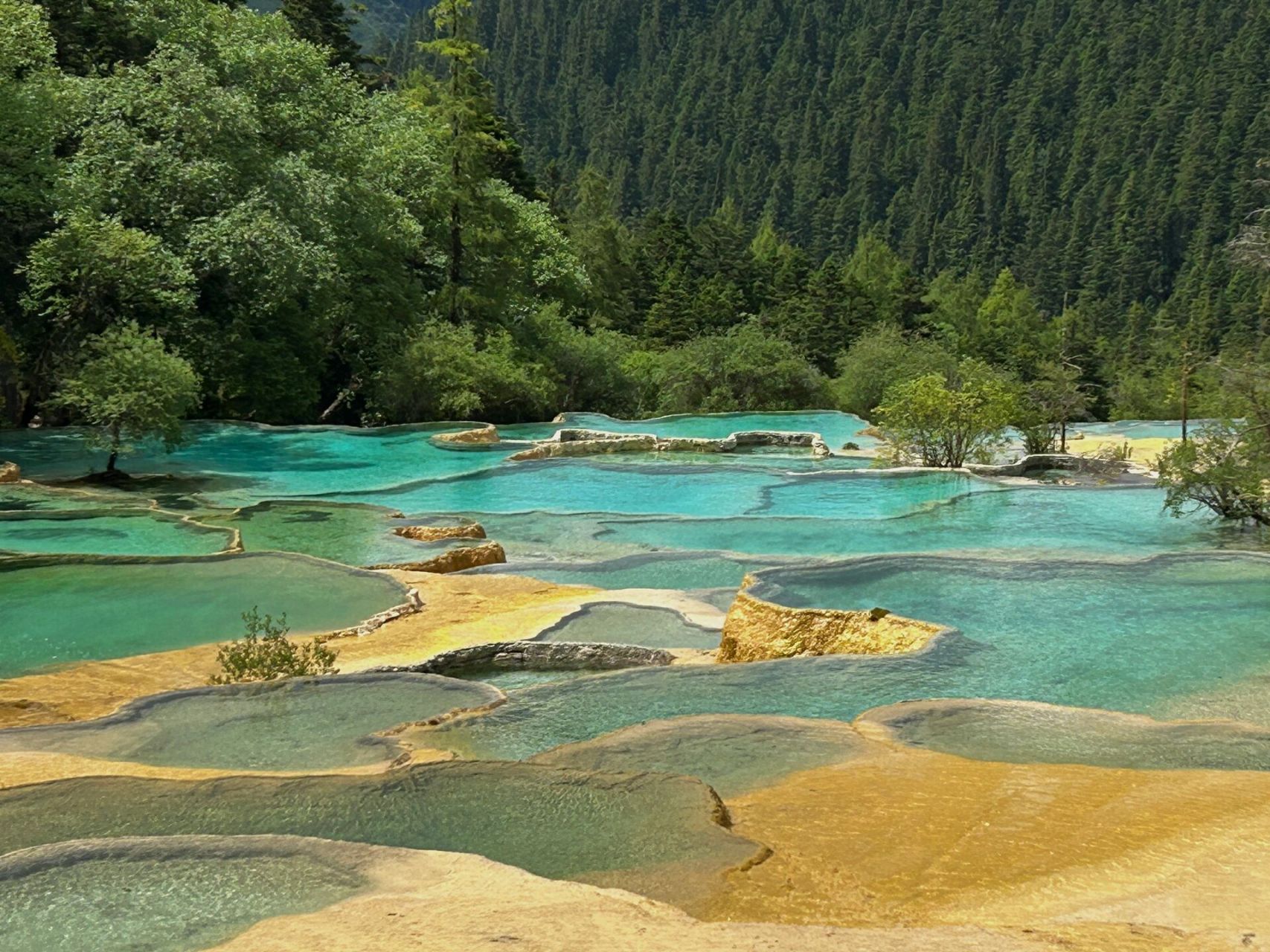 九寨沟旅行日记-黄龙五彩池 九寨沟县隶属于四川省阿坝藏族羌族自治州