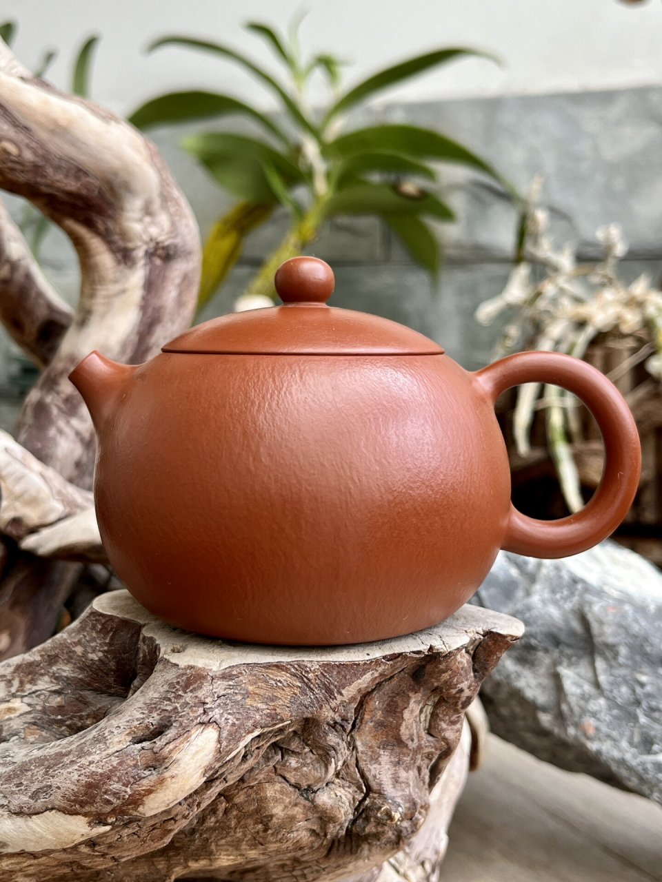几年前1500元买的西施紫砂壶,作者:尹琴. 	 玩紫砂壶的老炮帮鉴别下.