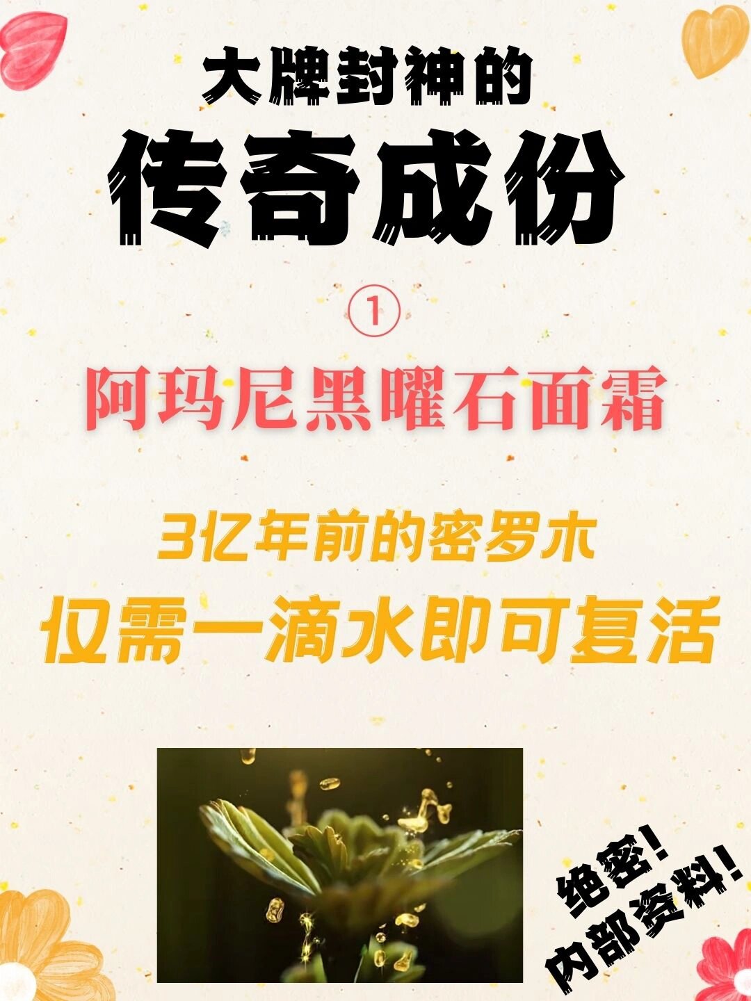 章小蕙推荐的黑曜石面霜之南非凤凰草