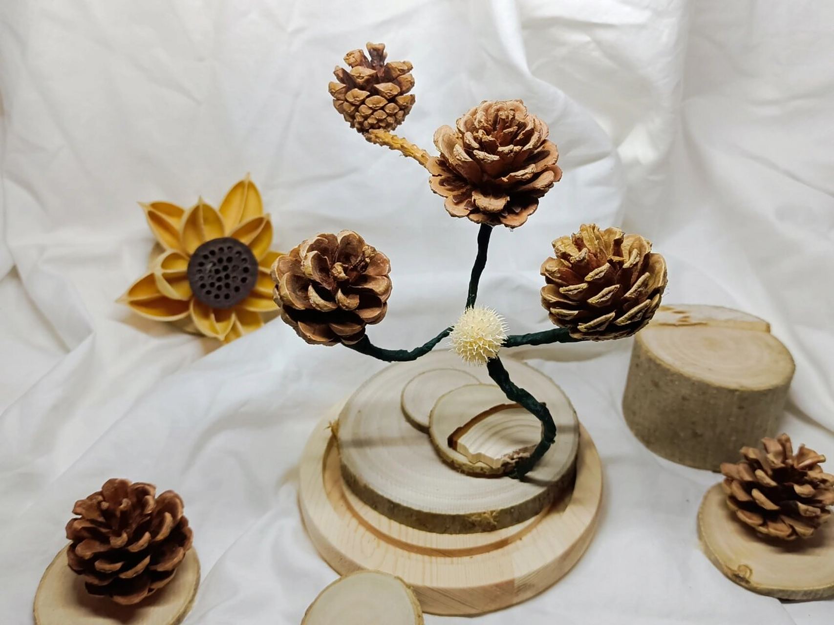 diy松塔小摆件,发现自然的美 周末出去玩森林9898公园里掉下来的