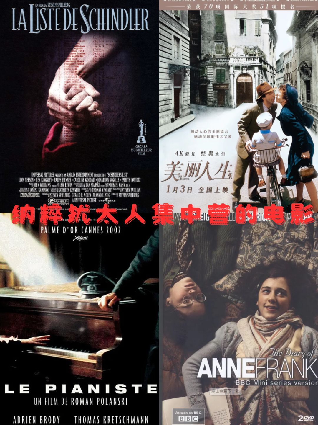 纳粹犹太人集中营的电影  在历史的长河中,有些事件沉重得让人难以