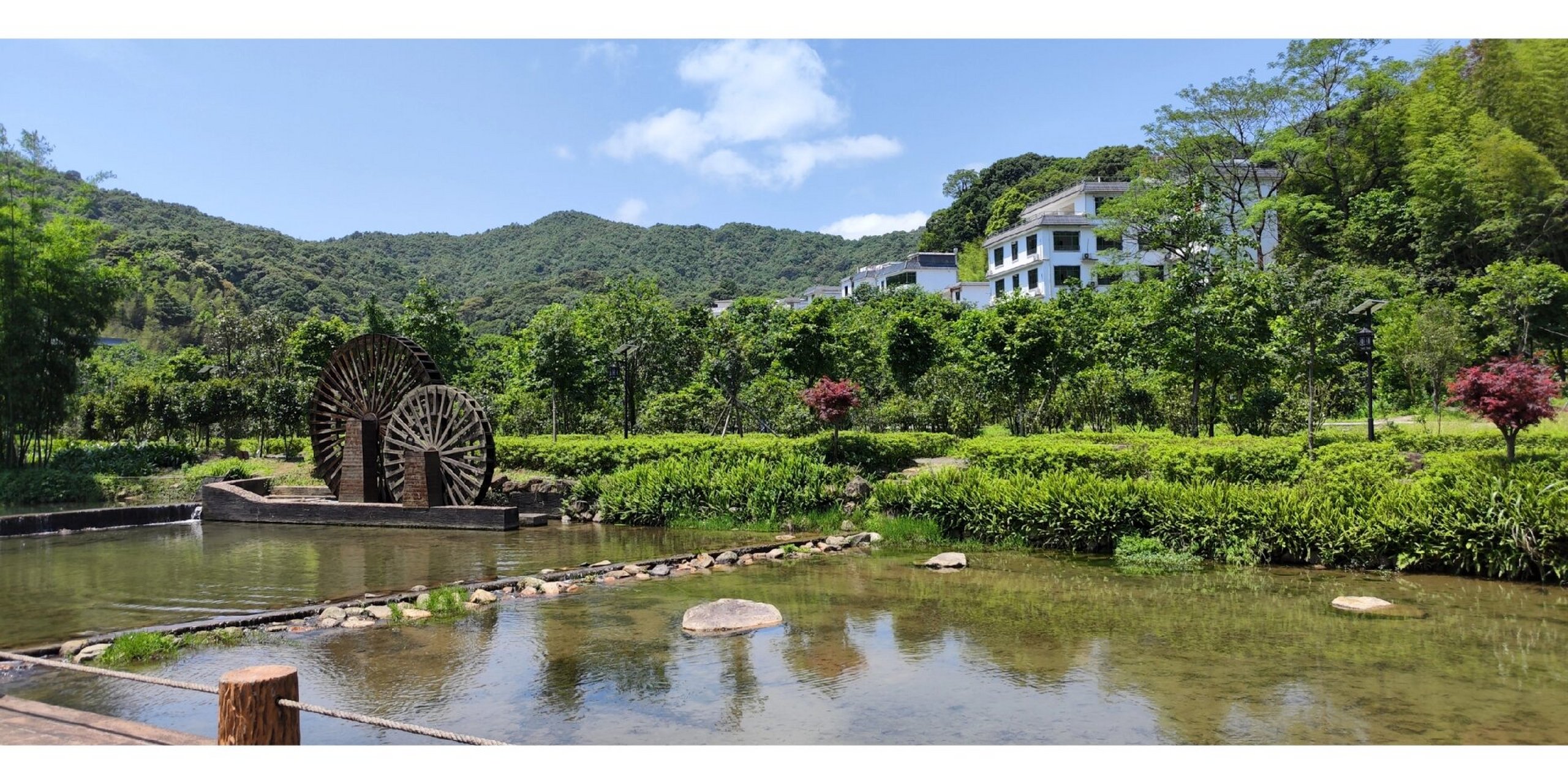 五一从化阿婆六茶花谷之旅