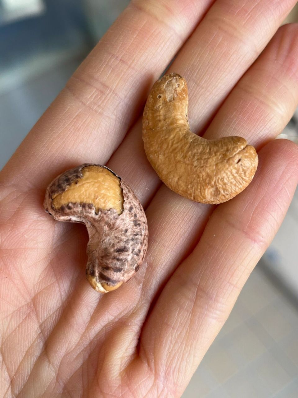 紫皮腰果,你们直接吃还是剥皮吃?