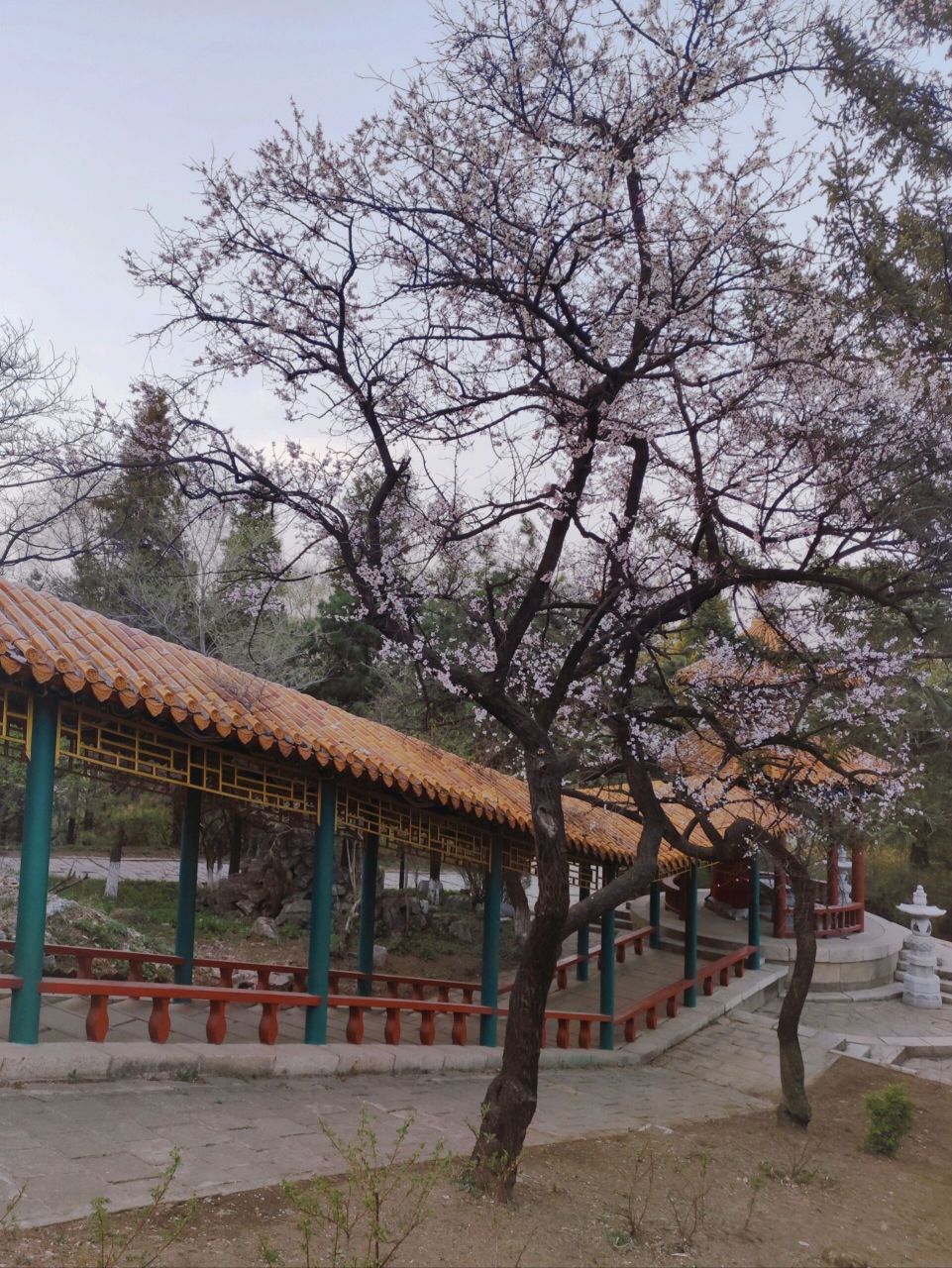 抚顺|高尔山风景区(3a景区) 71高尔山公园位于抚顺市顺城区高山路