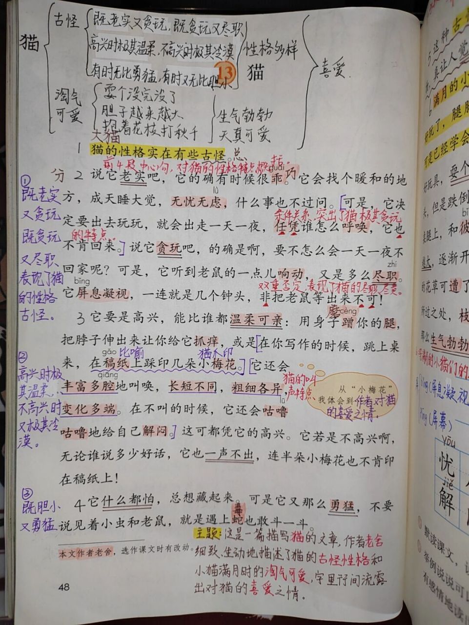 四年级下册语文第13课《猫》课文笔记 #教师备课# #四年级下册语文