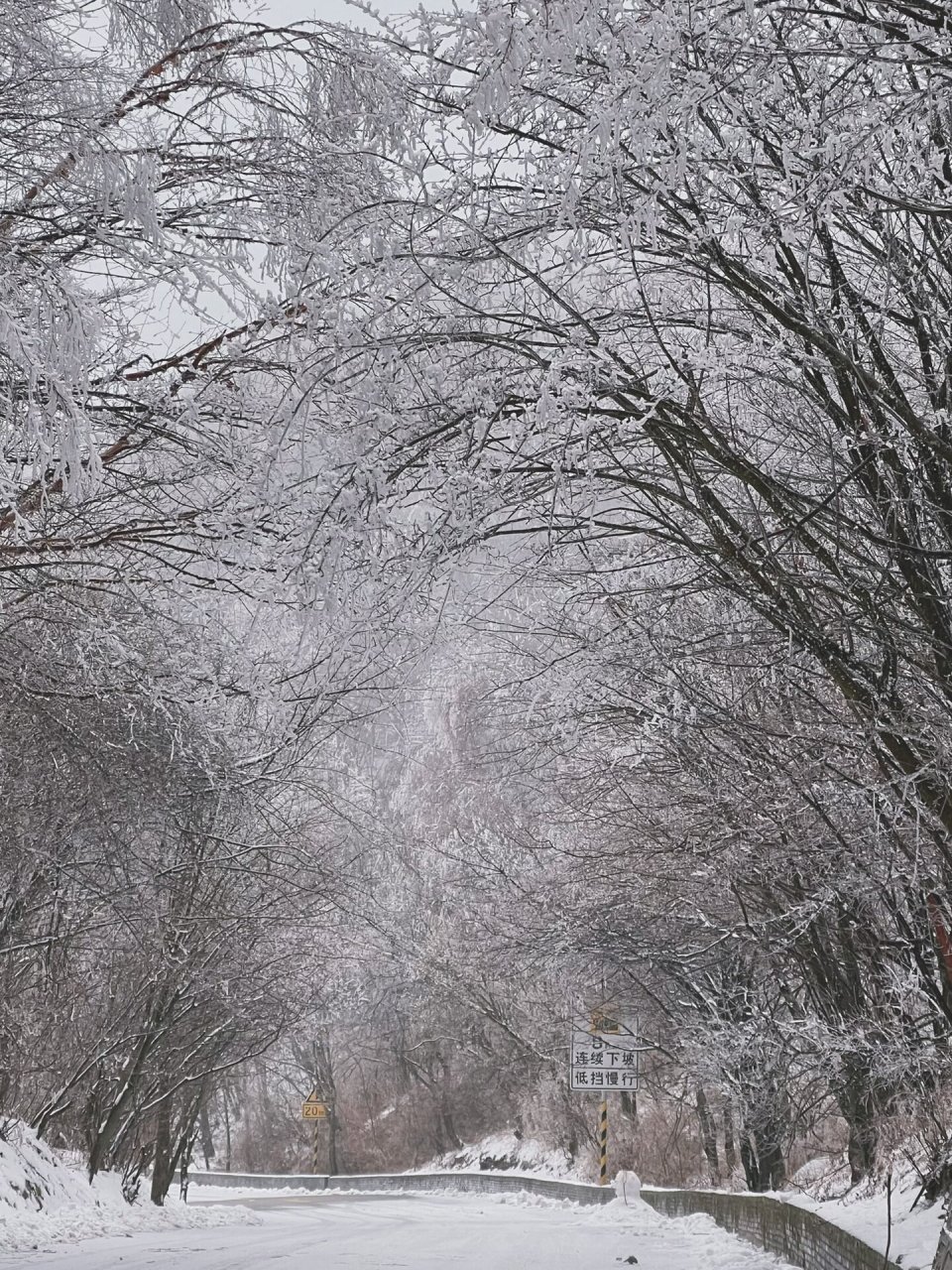 黄花岭雪景图片