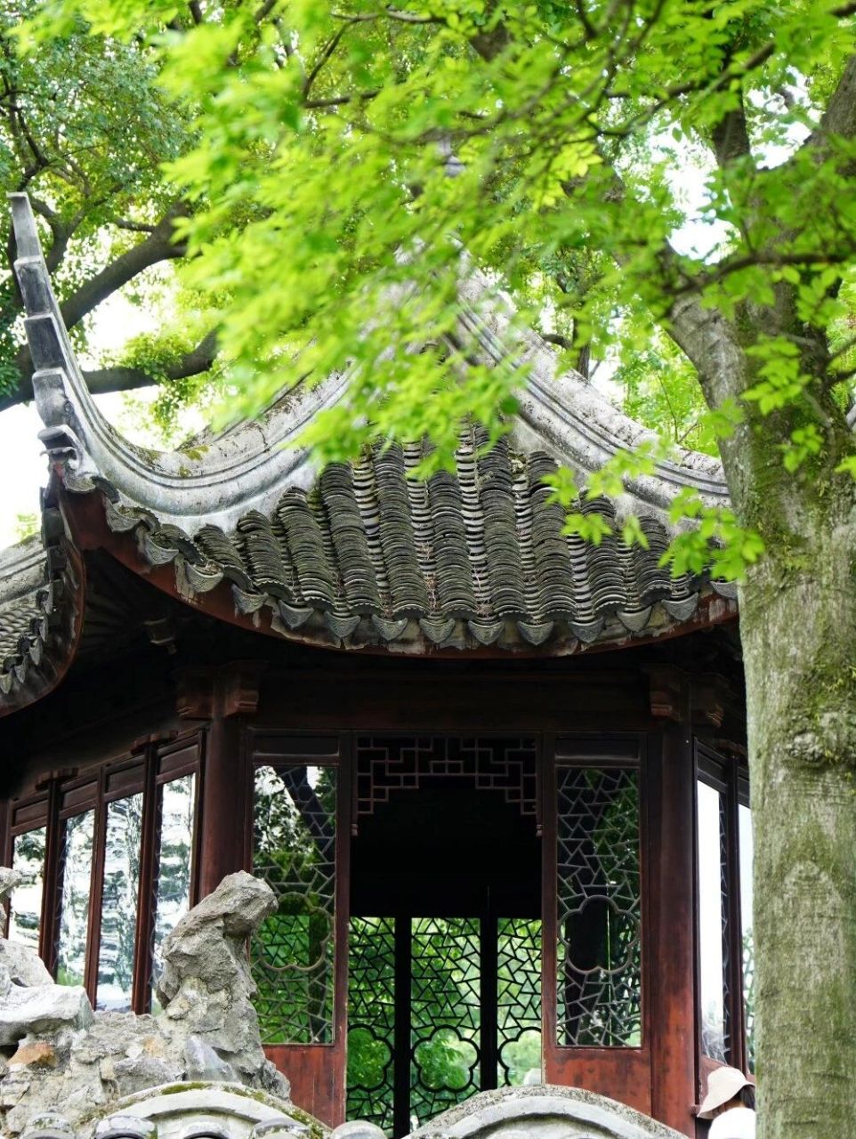 苏州古典园林|拙政园 作为中国四大名园之一,苏州古典园林里最大的一