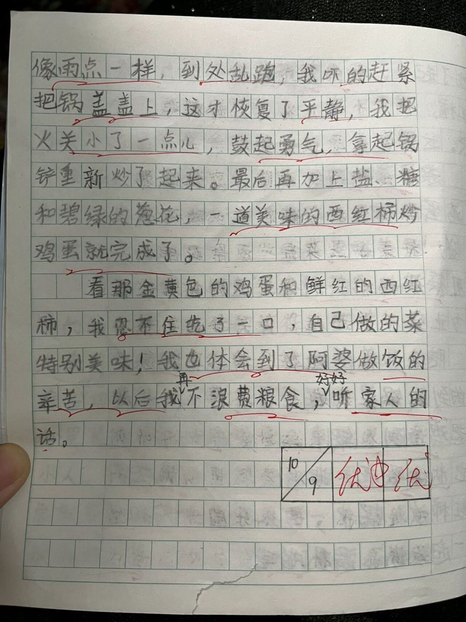 我學會了一道菜 西紅柿炒蛋 三年級上作文 之前中秋節的語文作業