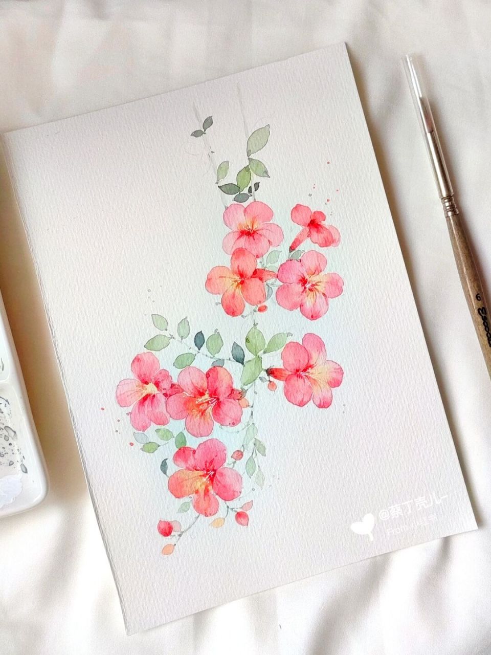 水彩凌霄花写生|生如夏花之绚烂 生如夏花之绚烂,当为凌霄花.