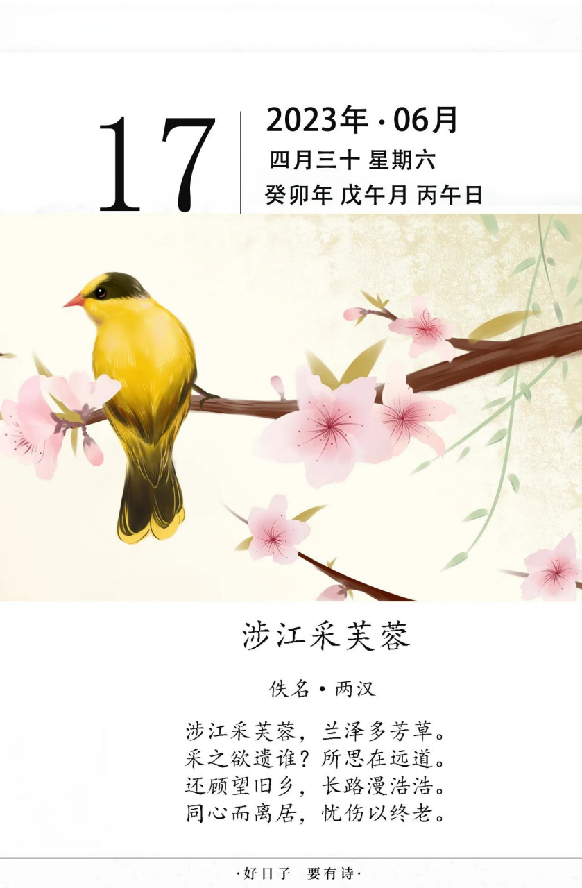 【好日子要有诗】 涉江采芙蓉,兰泽多芳草.